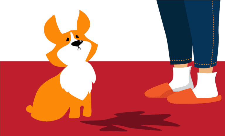 Cartoon of dog standing over vomit, owner standing nearby